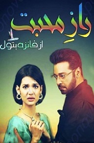 Cover of Raaz E Mohabbat Novel By Faiza Batool